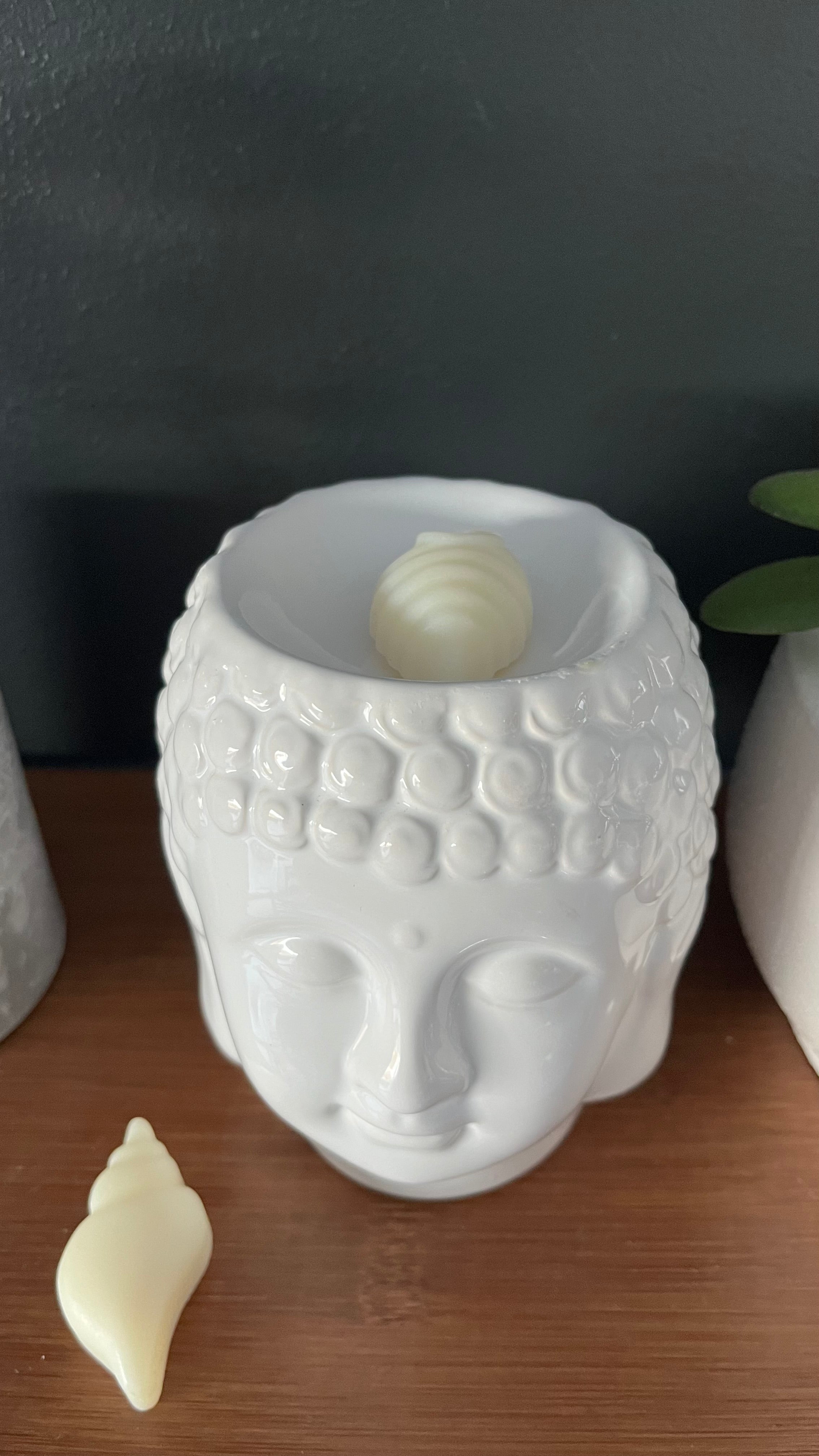 2 fondants parfumés coquillages