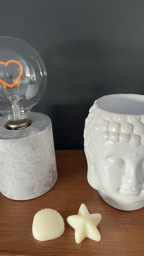 2 fondants parfumés coquillages