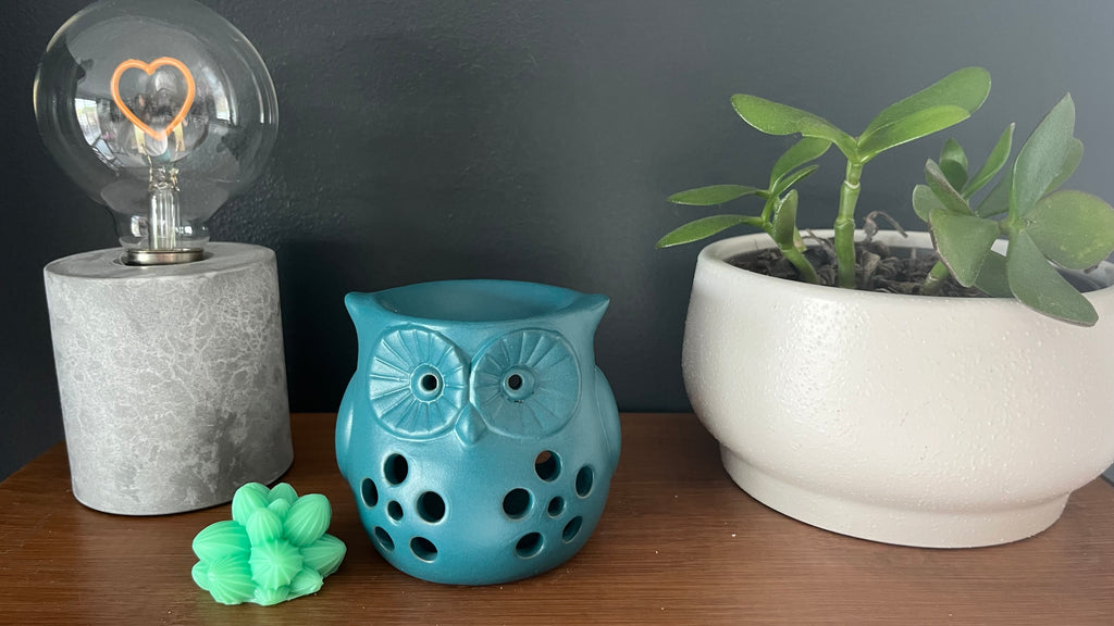 Brûleur fondant chouette