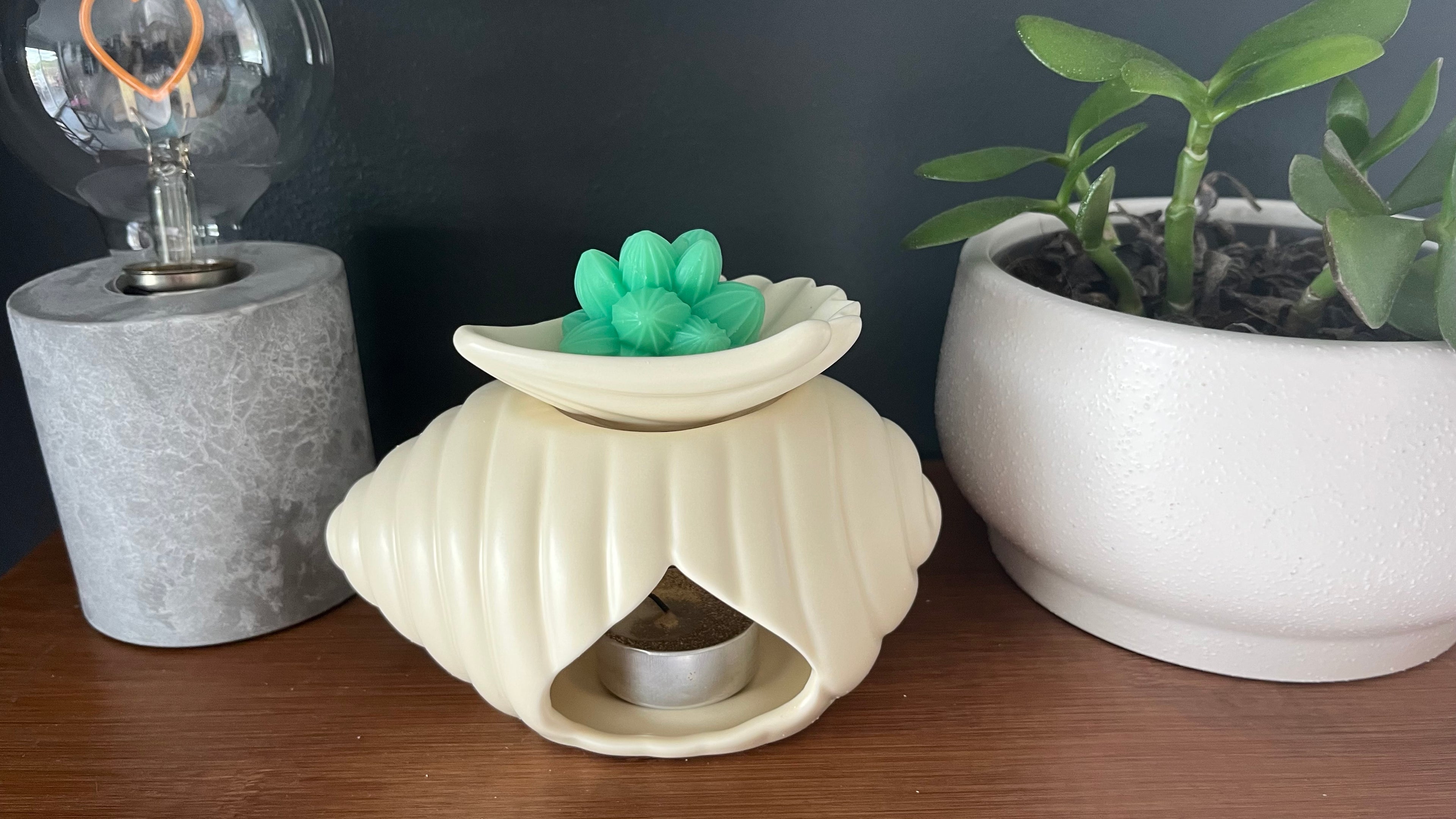 Brûleur fondant parfumé coquillage