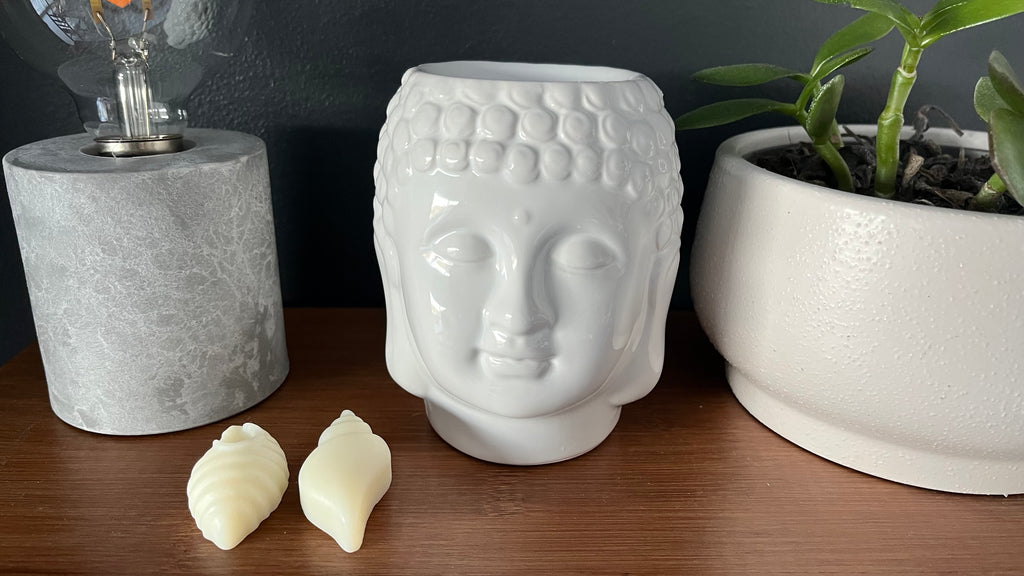 2 fondants parfumés coquillages