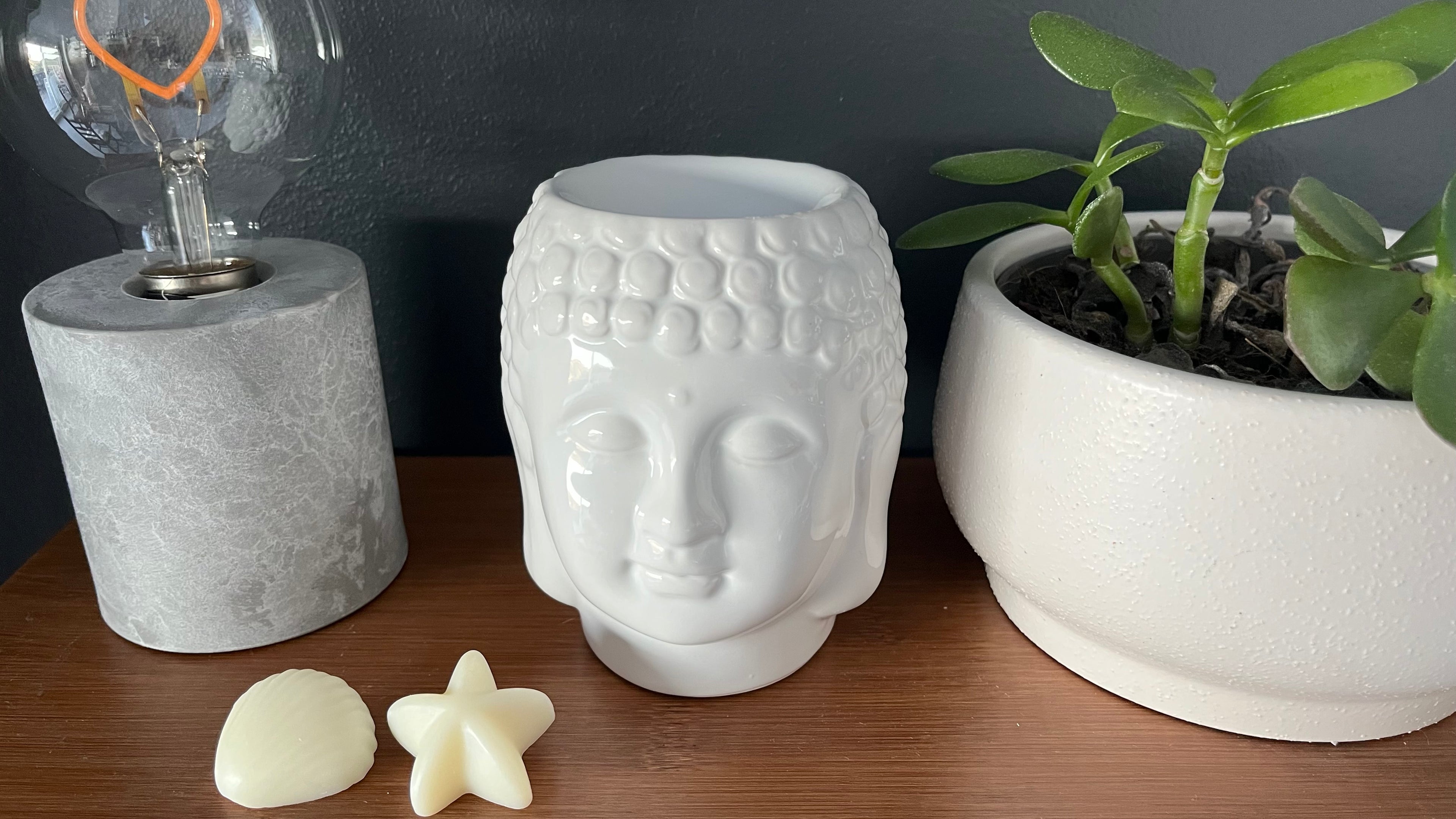 2 fondants parfumés coquillages