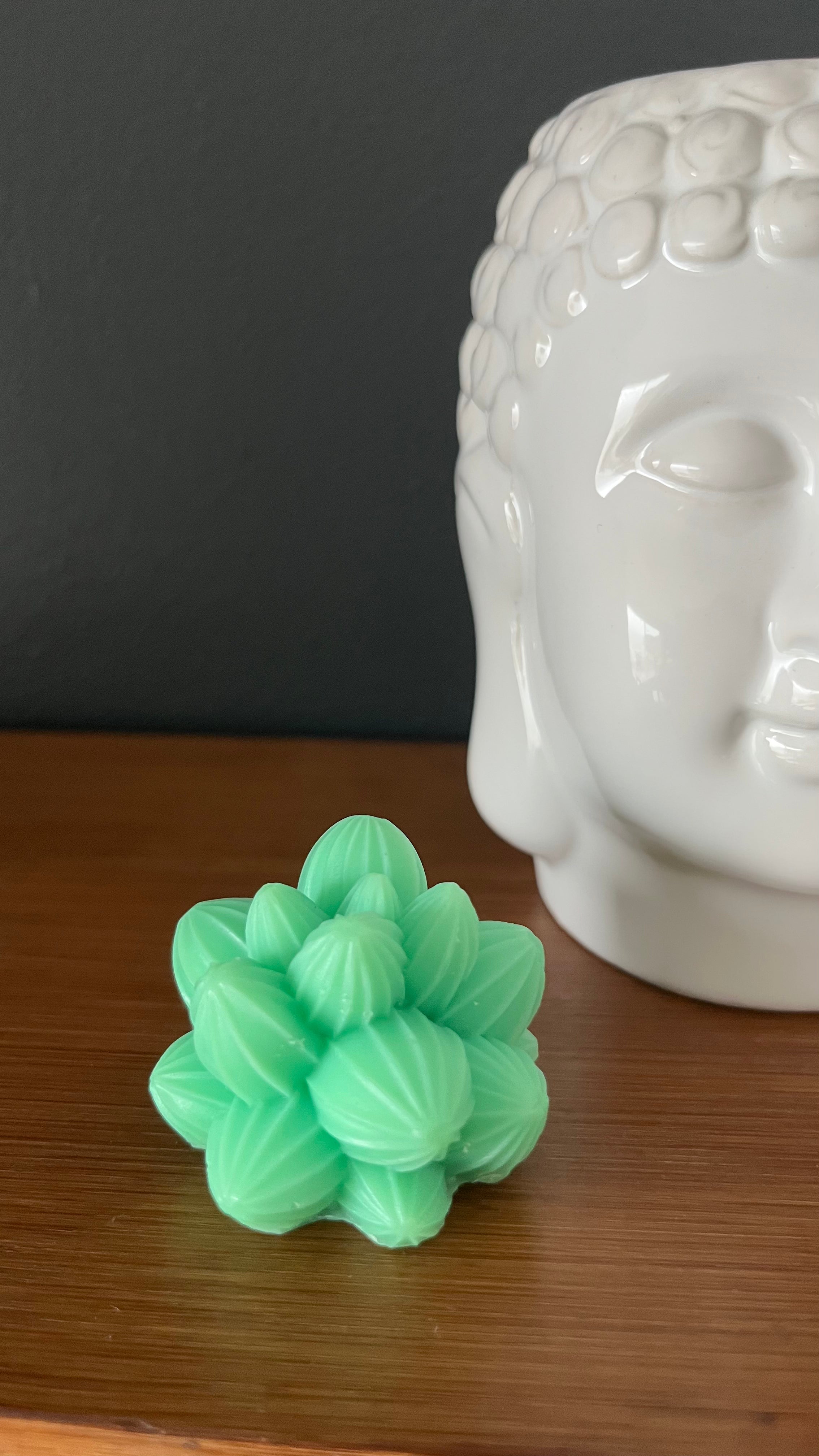 Fondant parfumé cactus texturé