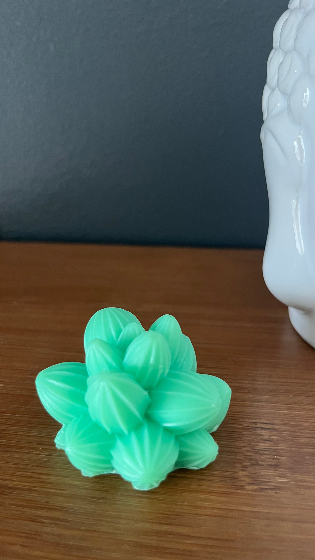 Fondant parfumé cactus texturé