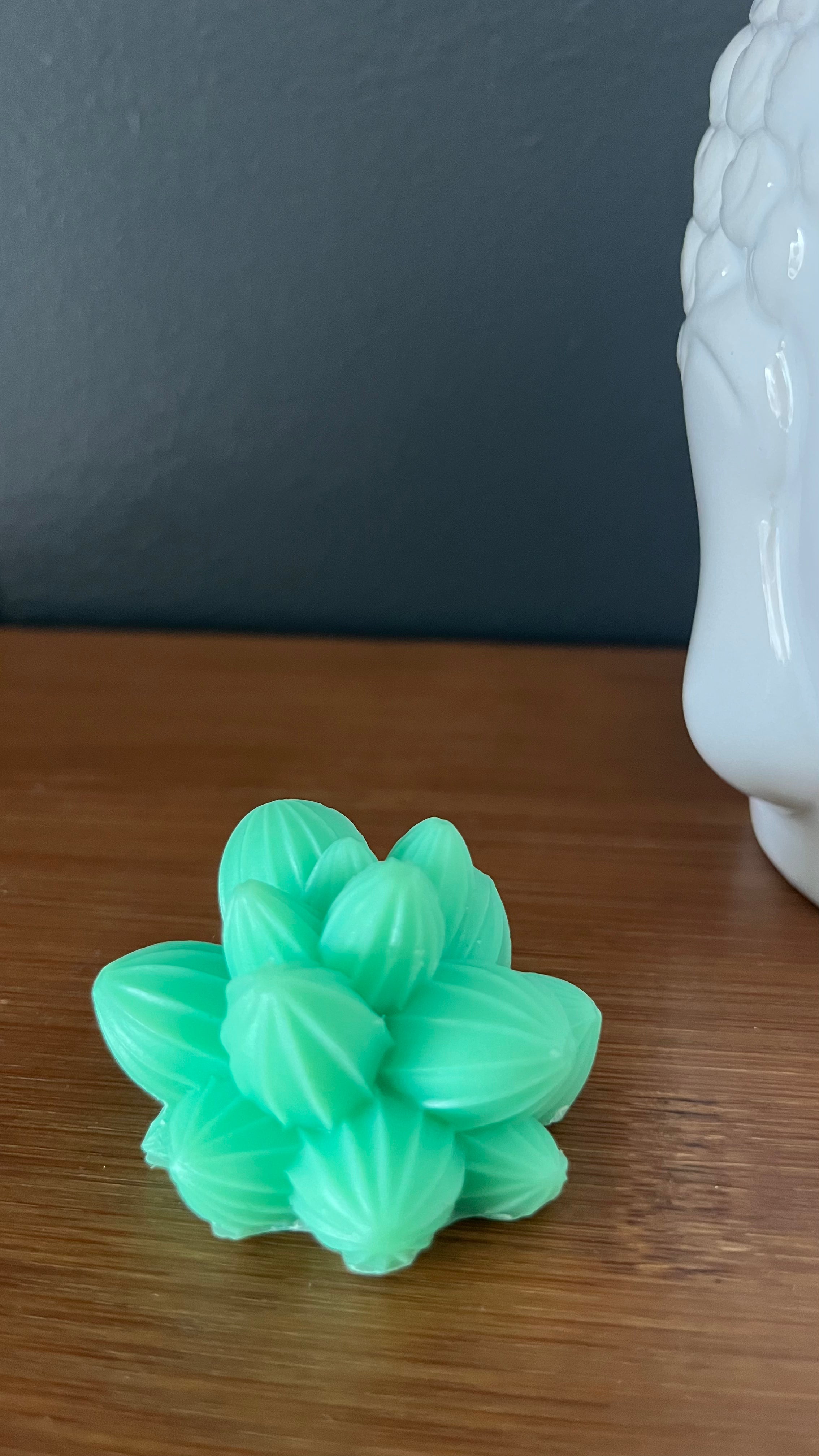 Fondant parfumé cactus texturé