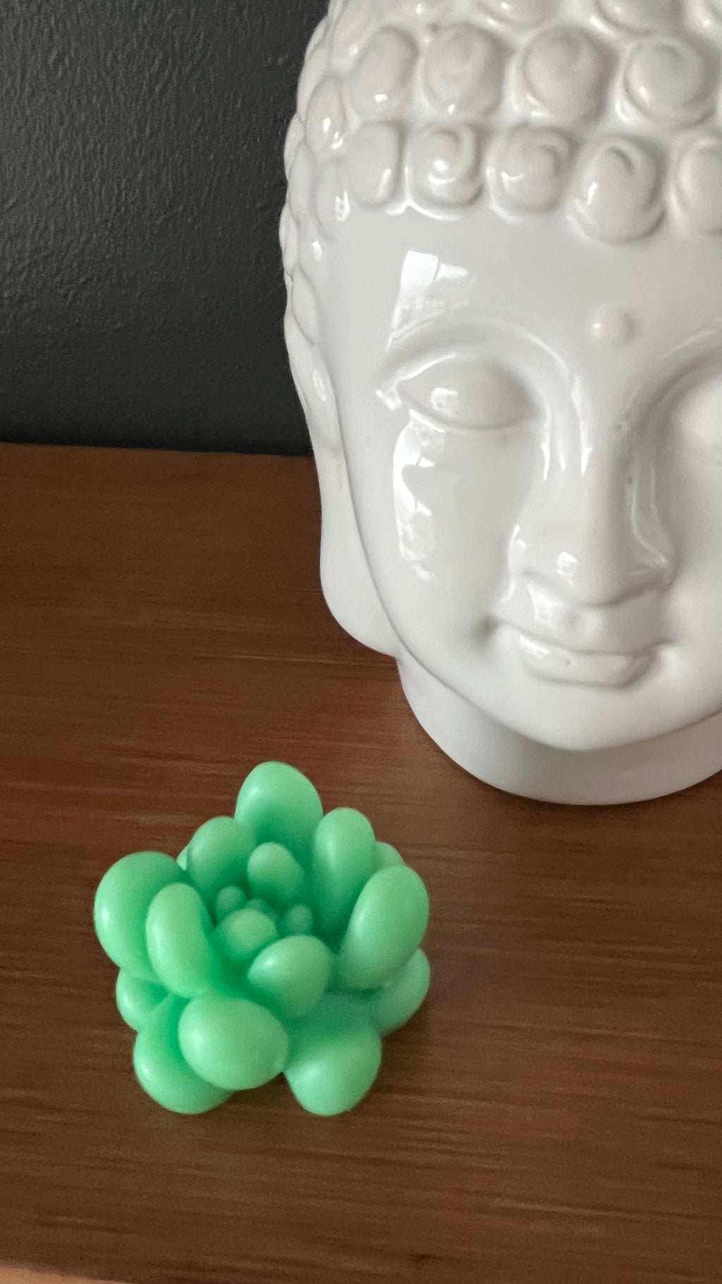 Fondant parfumé cactus moyen