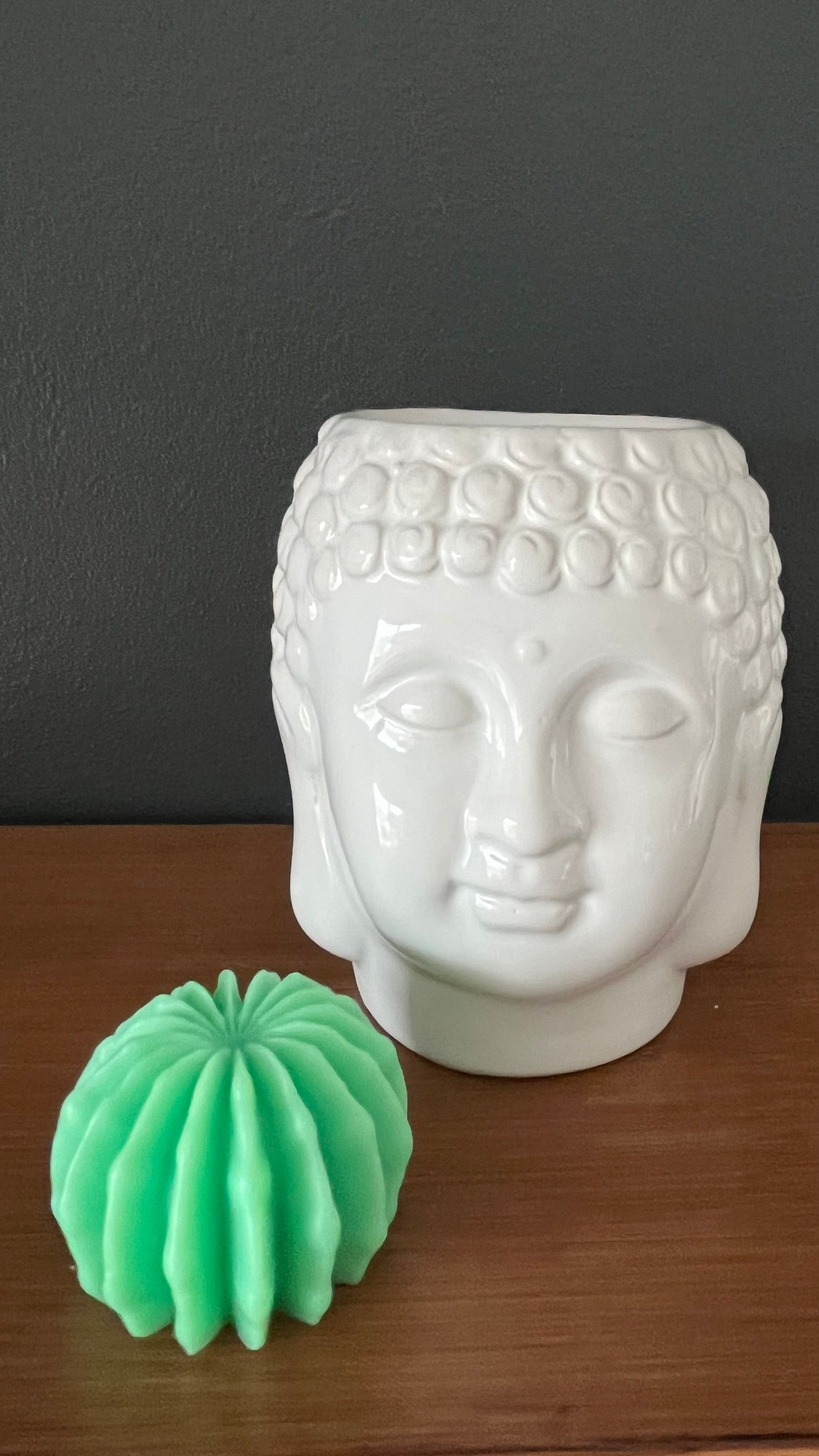 Gros fondant parfumé cactus