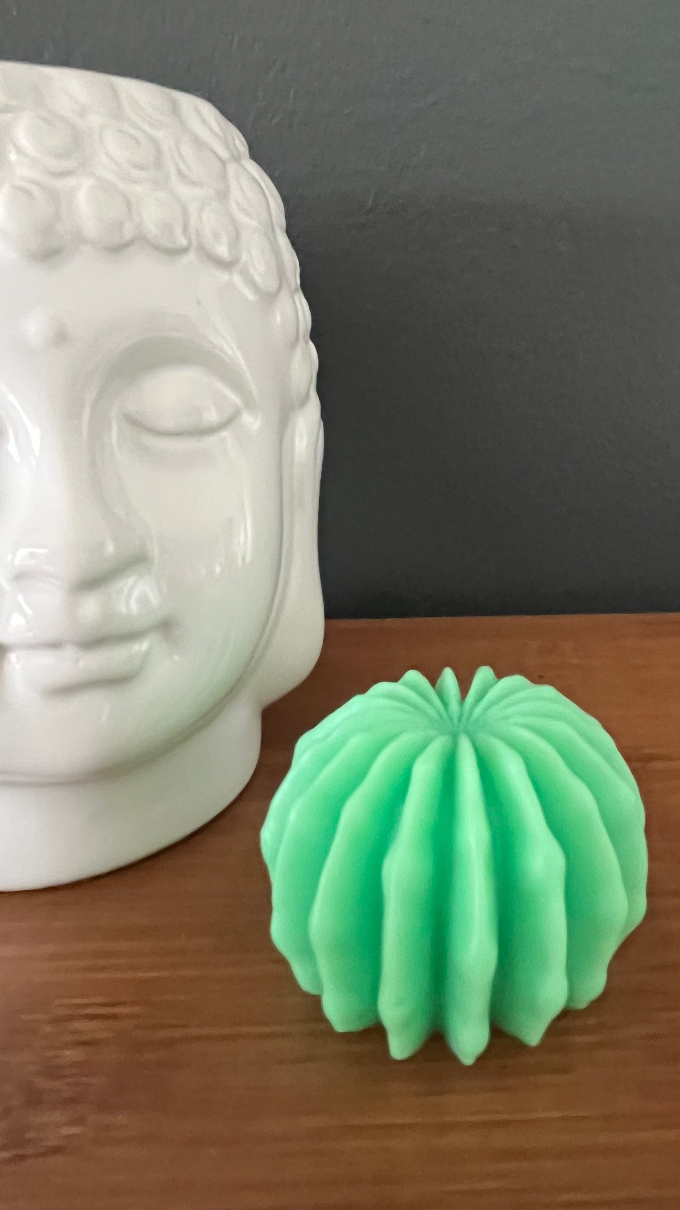 Gros fondant parfumé cactus