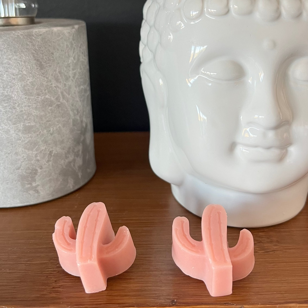 2 fondants parfumés cactus