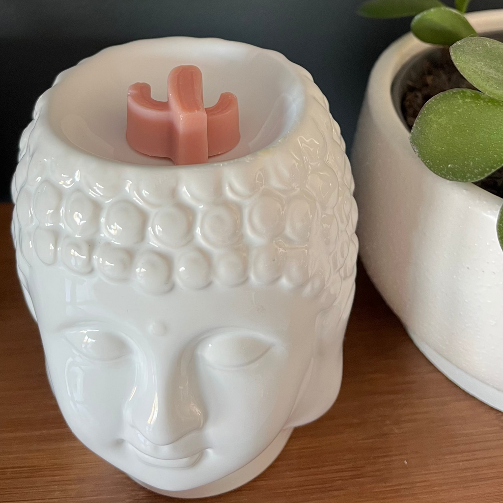 2 fondants parfumés cactus